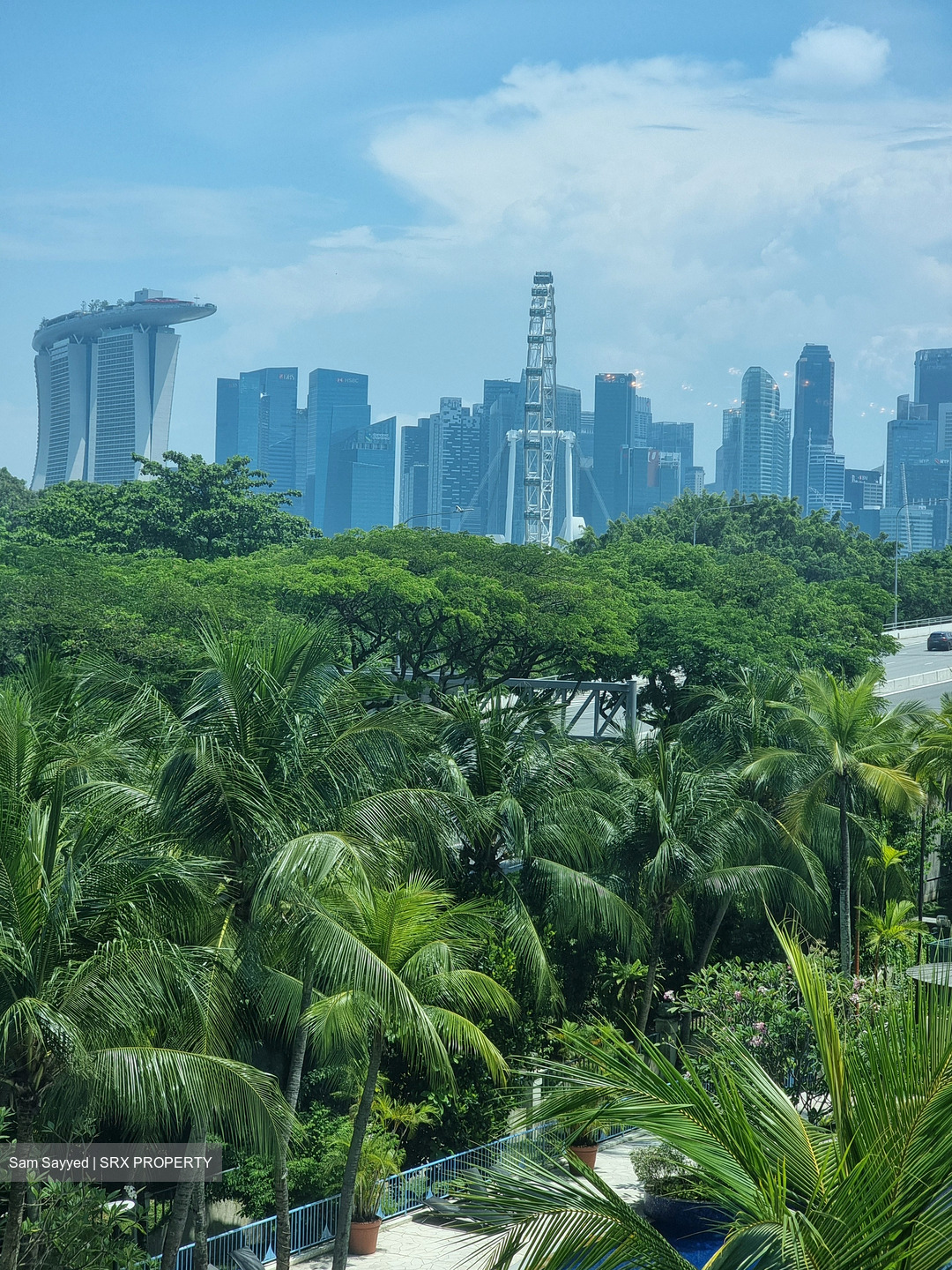 Sanctuary Green (D15), Condominium #540973241